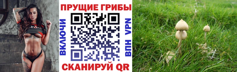 Галлюциногенные грибы ЛСД где продают наркотики omg вход Нестеровская